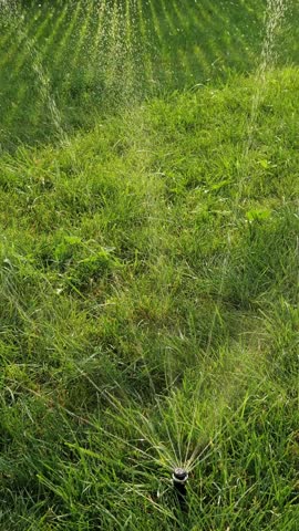 Automatic irrigation system with a pop up sprinkler head rotating and spraying water droplets on a lush green lawn during a bright, sunny day, promoting healthy garden and backyard growth