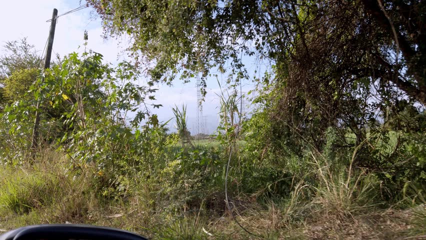 Point of view driving along rural road passing roadside vegetation, utility pole and countryside near Hacienda Coahuixtla, Mexico under clear blue sky during daytime