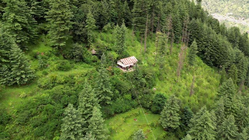 Aerial view of a secluded house nestled in the lush green forests of Old Manali, surrounded by dense pine trees in Manali, Himachal Pradesh, India.