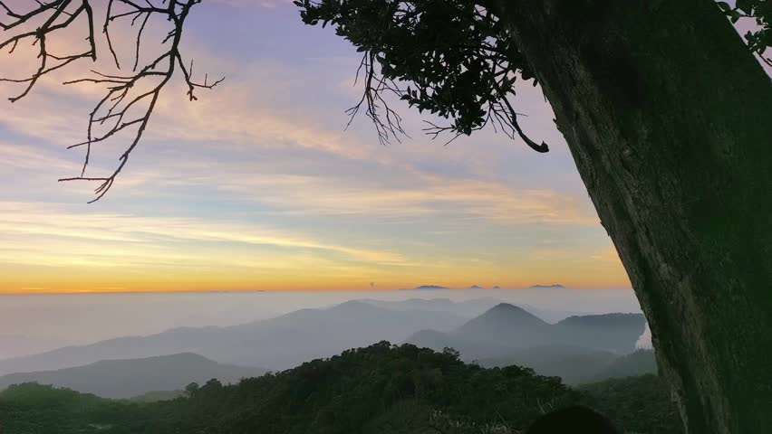 Scenic mountain landscape at sunrise with tree silhouette