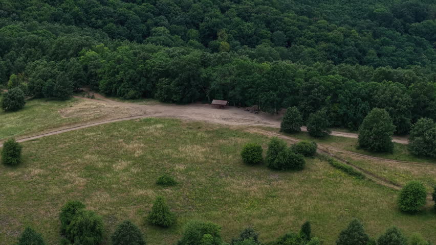 An aerial view of a rustic wooden shelter situated at the edge of a lush green forest beside a field.
