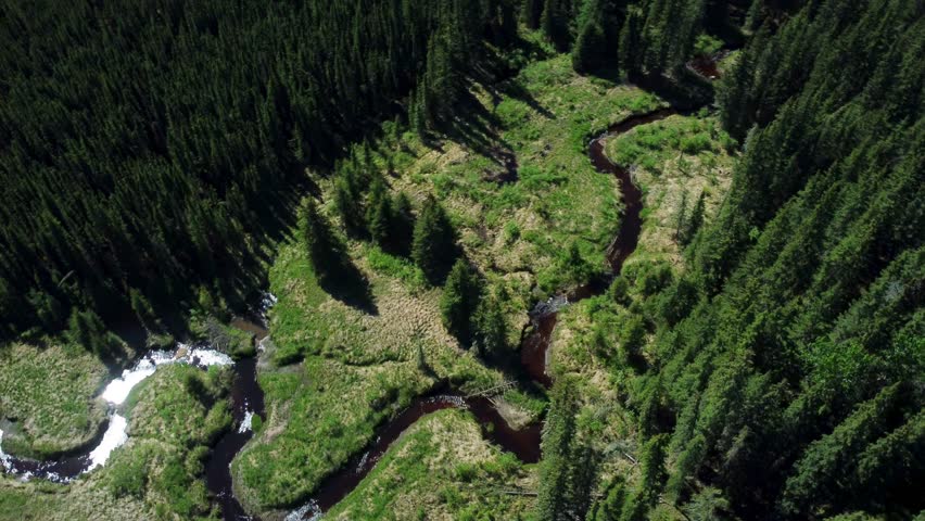 Aerial view of sun rays reflecting on a forest creek in Northern Alberta, Canada
