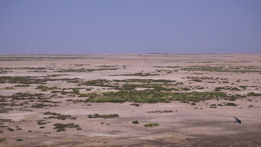 Kenya Dry Season, Arid Landscape Scenery, Amboseli Aerial Elevated View in Wide Angle Establishing Shot on Blue Sky Sunny Day.