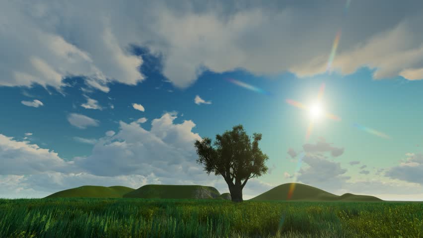 A lone deciduous tree stands silhouetted against a vibrant blue sky filled with fluffy white clouds and bright sunshine casting lens flare effects over a lush green grassy meadow with rolling hills in the distance creating a serene natural landscape scene