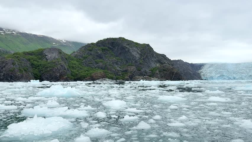 Snow-capped mountains rise above a lake filled with icebergs. The water reflects the cloudy sky. Green trees line the shore in this remote location.