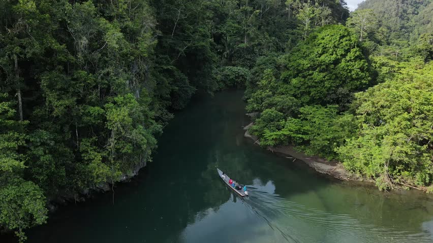 Aerial view of a boat carrying people along the Kalibiru river surrounded by dense tropical jungle in Raja Ampat, Southwest Papua, Indonesia.