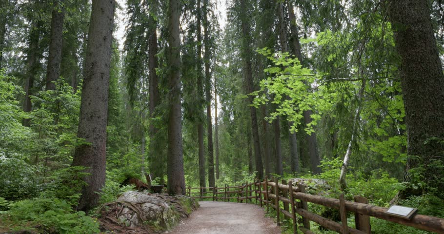 Popular Walking Path Alongside Lago di Carezza (Karersee) In The Dolomites, Italy. Static Shot