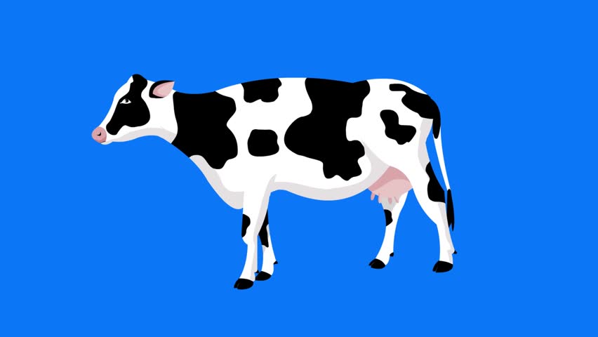 Cartoon style animation of a cow against a blue background, art, drawing.