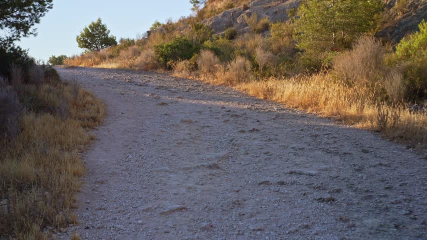 A trail leads through a hillside with dry grass and scattered trees. The sun is low in the sky, and shadows stretch along the path. The ground is rocky and undefined.