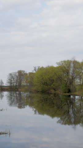 A camera pans along a calm lake shore lined with spring trees whose fresh foliage and branches reflect clearly on the water surface in vertical orientation.