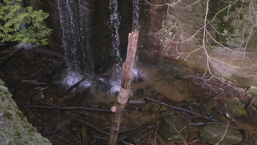 Hector Falls cascading through Allegheny National Forest wilderness