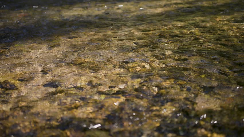 Detail of a sunny calm river surface slow motion.