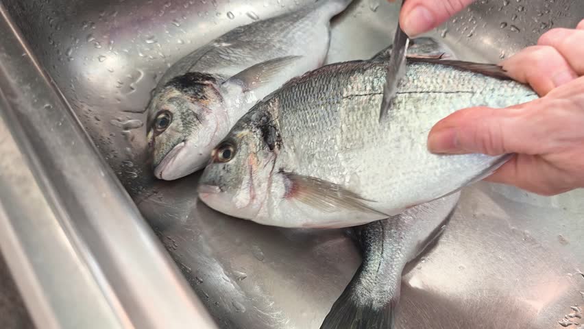 Woman holds a sea bream fish and scales it with a knife, seafood preparation process, home cooking scene.