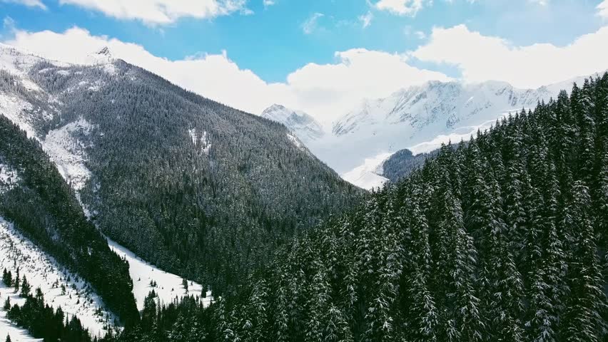 A drone view of dense snow-covered pine forests slope up to meet jagged, high, white mountain peaks under blue, white sky in British Columbia, Canada
