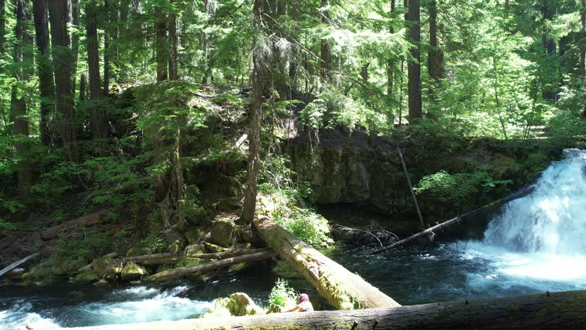 Whitehorse falls near Diamond lake, Umpqua forest, Oregon