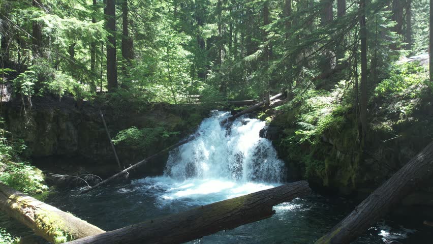 Whitehorse falls near Diamond lake, Umpqua forest, Oregon