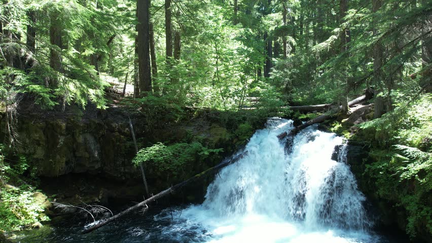 Whitehorse falls near Diamond lake, Umpqua forest, Oregon