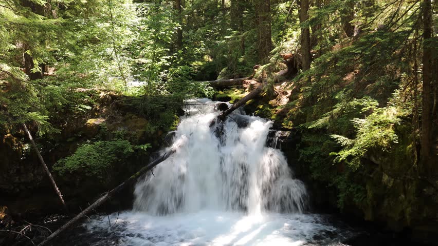 Whitehorse falls near Diamond lake, Umpqua forest, Oregon