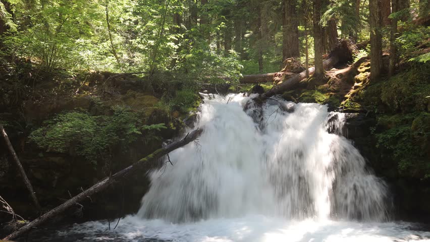 Whitehorse falls near Diamond lake, Umpqua forest, Oregon