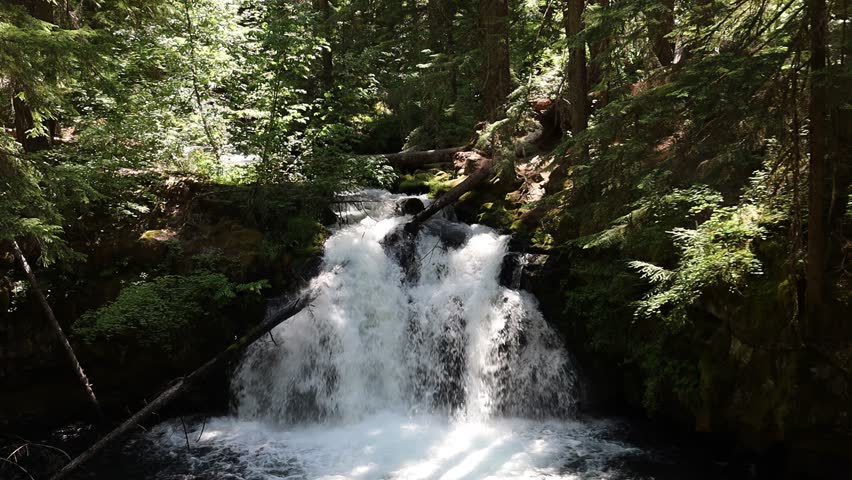 Whitehorse falls near Diamond lake, Umpqua forest, Oregon