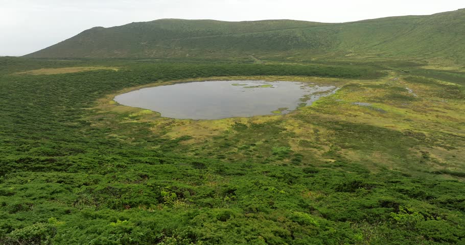 An aerial view of a muddy lake surrounded by vibrant green and yellow marshland with cliffs under overcast sky in Flores Island, the Azores, Portugal