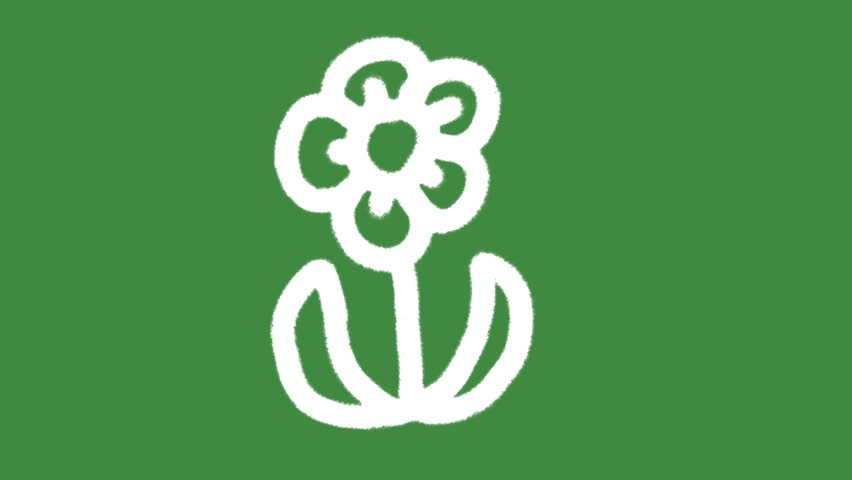Flower plant blooms eco-friendly hand-drawn cartoon graphic with chalk outline blossom icon and creative sustainability notification isolated on green screen background for natural line art element.