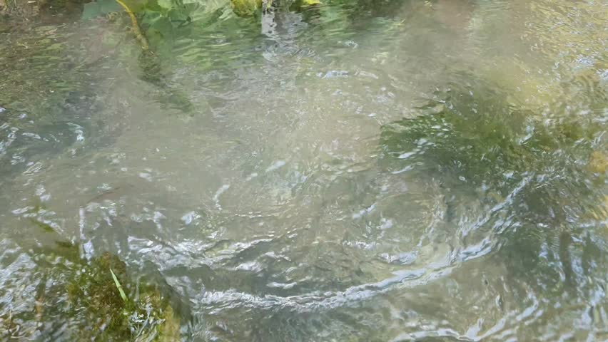 Natural fresh water flowing gently in a shallow river creek.