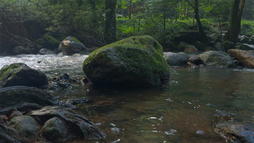 River Rapids and Rocks Dynamic, flowing river water rushes over moss-covered rocks, creating foamy white rapids in a beautiful natural scene.