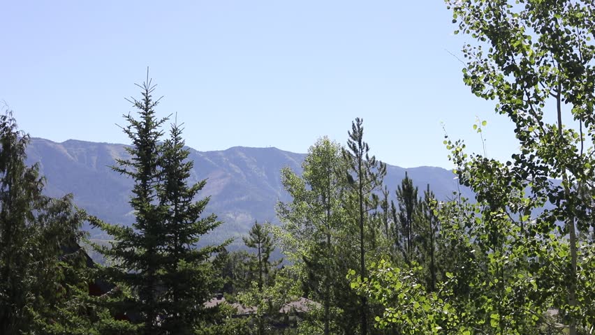  road in mountains reflection of trees in the lake fernie canada nice weather forest