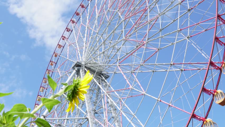Giant Ferris wheel and a blooming sunflower under blue summer sky at Kasai Rinkai Park in Tokyo