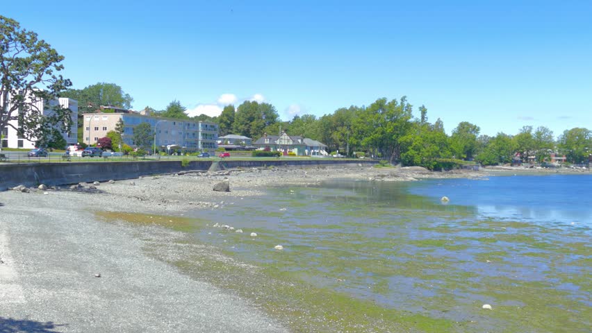 Coastal neighborhood shoreline at low tide with concrete seawall
