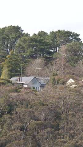 Panning shot of modern houses nestled among eucalyptus trees in Blue Mountains National Park, Australia.