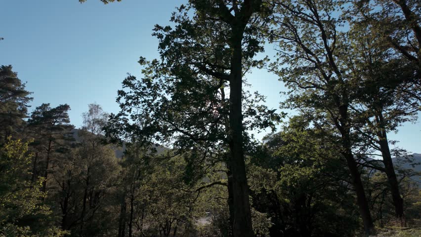 Cutaway, Sun beams, woods, trees, landscape, the Lake District National Park, Cumbria, UK 