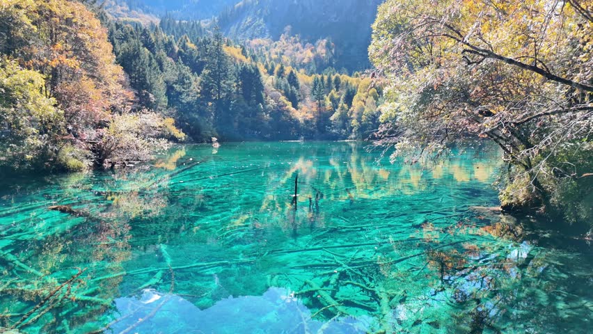 Scenery Jiuzhaigou national park in Sichuan, China. Beautiful Five Flower Lake in Autumn season. Famous Landmark and Vacation near Chengdu, China. Asia travel concept 