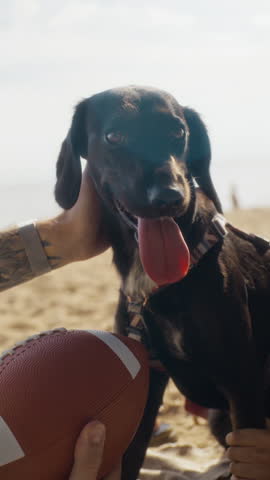 Vertical video of father and child petting black dog on sandy beach while holding football. Footage is perfect for pet care brands, family travel promotions, or outdoor recreation ads