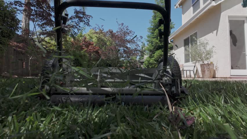 A Low-angle shot of a manual lawn mower slicing through tall green grass in a sunny backyard filled with trees and foliage