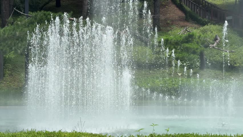 Wall of fountain spray and drifting mist rising from a calm pond with green pine trees and a wooden walkway on a forested hillside in Seoul, South Korea
