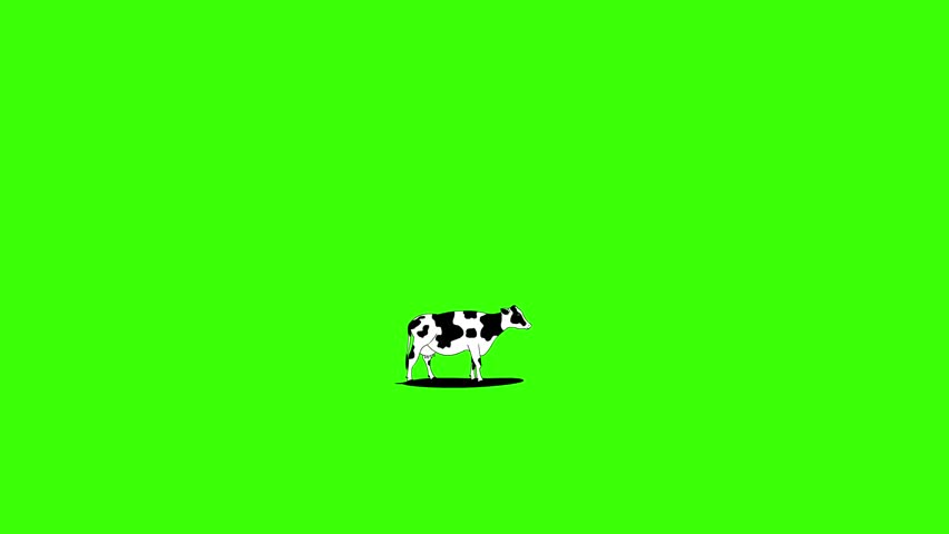 Cartoon style animation of a flying saucer abducting a cow, black and white art with a green background, drawing, 2D.