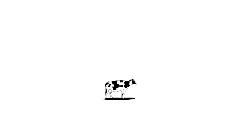 Cartoon style animation of a flying saucer abducting a cow, black and white art, background, drawing, 2D.