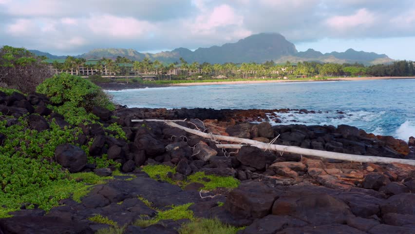 Cinematic low-altitude drone footage skimming above the rugged volcanic coastline of Poipu, Kauai, revealing weathered driftwood, dramatic black lava rocks, and crystal-clear Pacific waters washing ashore. Framed by lush tropical vegetation, pristine beaches, and the iconic emerald mountains of Hawaii in the distance, this breathtaking coastal scene captures the raw beauty and serenity of one of the island