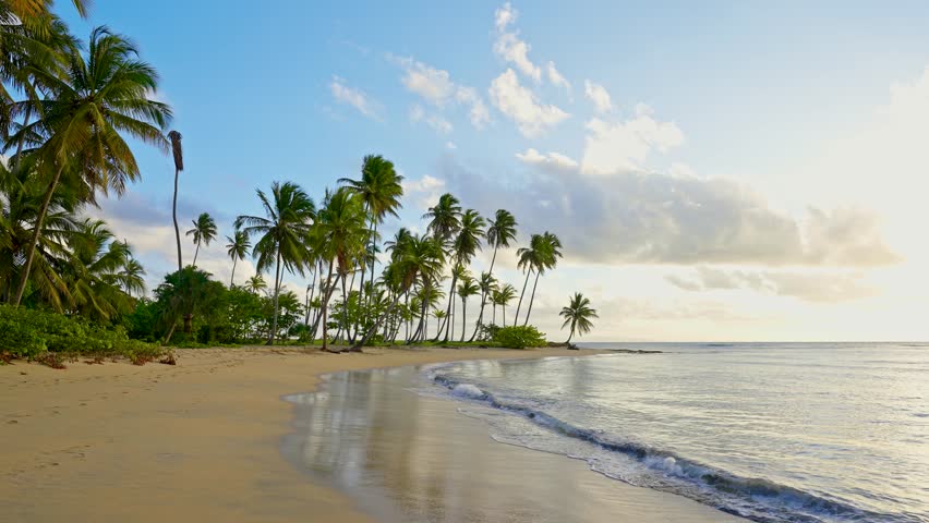 Sunny summer morning on the sea coast with palm trees. Amazing landscape of the sea coast with transparent turquoise waves on the sand. Paradise island with beautiful palm trees.