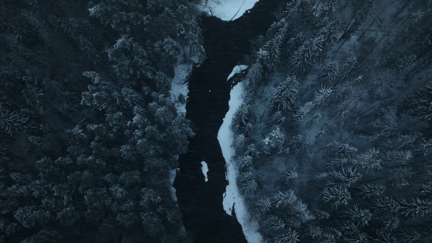 Top-Down Aerial View of a Winding Frozen River Flowing Through a Snow-Covered Winter Forest in Latvia