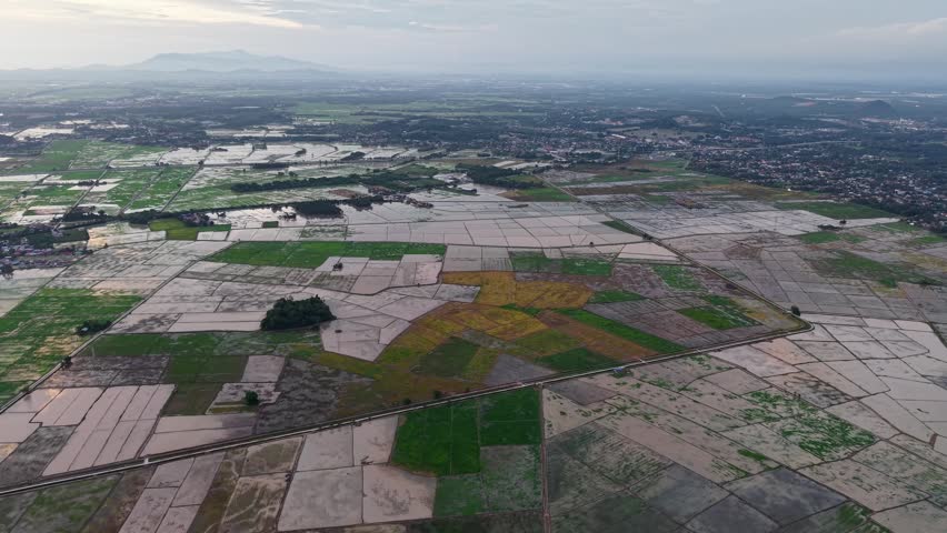 A high aerial view of expansive agricultural fields divided into geometric plots, showcasing a rural landscape