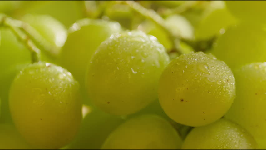 Red grape, spanish supermarket food, Close-up green grape cluster on vine in the vineyard. Stock Photo