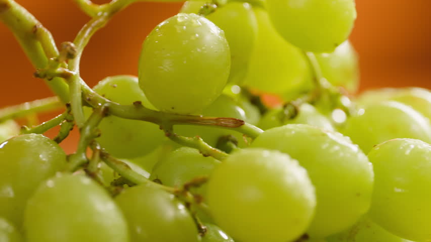 Red grape, spanish supermarket food, Close-up green grape cluster on vine in the vineyard. Stock Photo