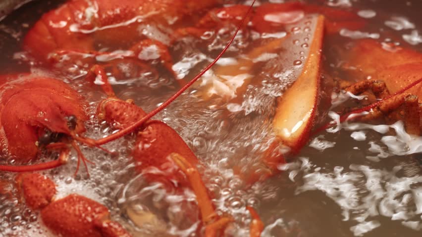 Boiled European crayfish Astacus astacus river seafood freshwater cooked crustacean, noble crayfish, or broad-fingered crayfish, traditional food source.