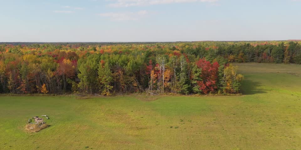 A wide rural pasture bordered by dense autumn forest, warm seasonal colors stretching across calm open land in Washago, Ontario