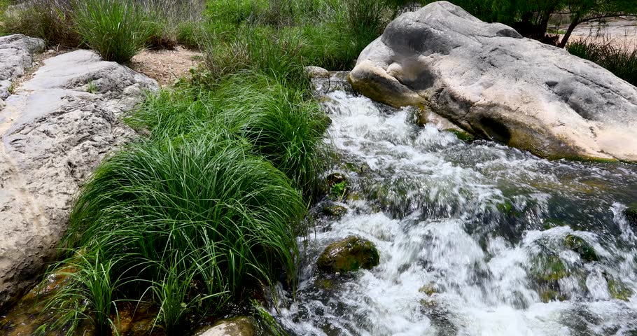 Static video of Pedernales Falls State Park in Texas. Video shows water flowing through rocks and vegetation.
