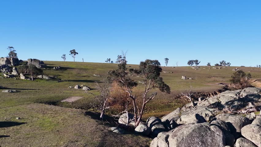 Wide panning shot of rocky outcrops and gum trees in Uralla, New South Wales, Australia.