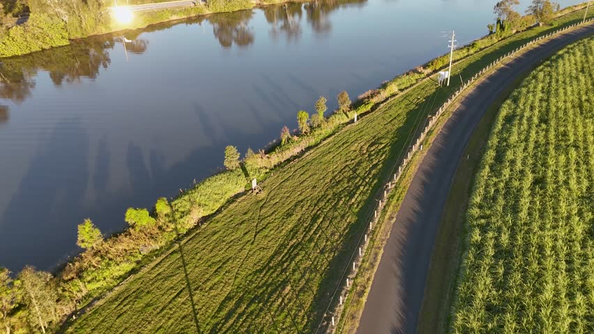 High angle drone shot over a calm river and green agricultural fields in Australia.